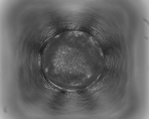 X0000097841154200804111057