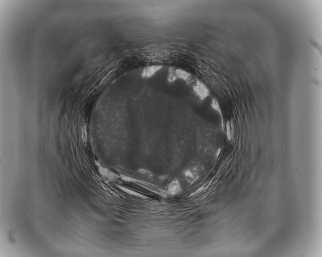 X0000097841155200804111057