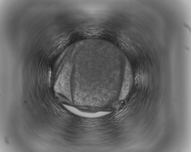 X0000097841156200804111057