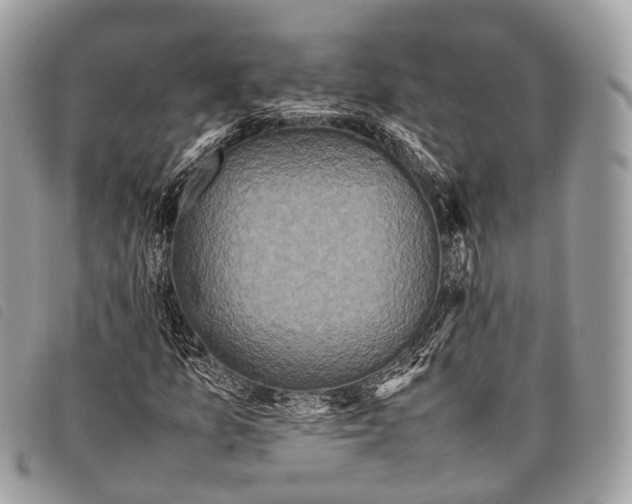 X0000097841157200804111057