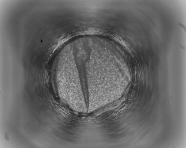 X0000097841160200804111057