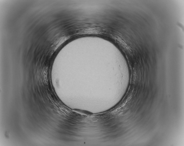 X0000097841162200804111057