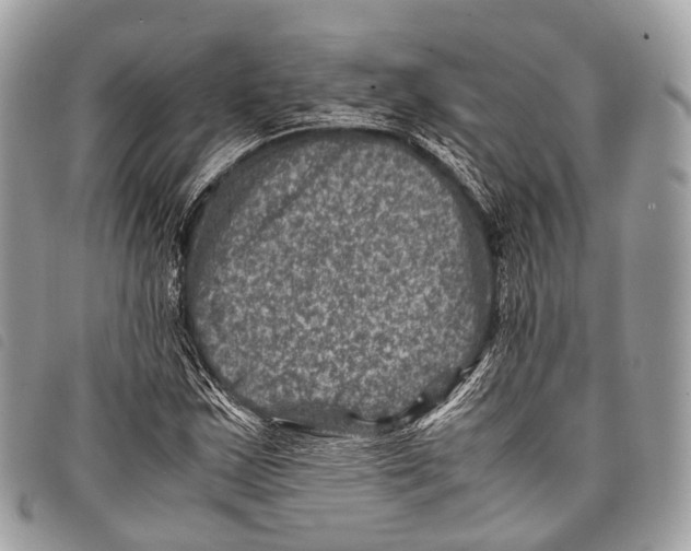 X0000097841163200804111057