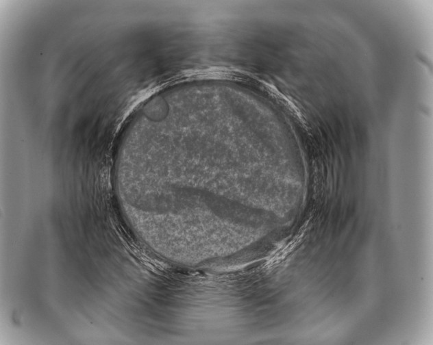 X0000097841166200804111057