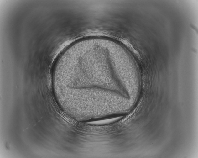 X0000097841167200804111057