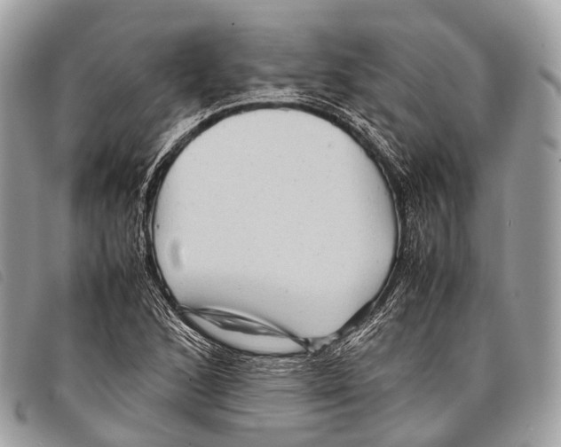 X0000097841168200804111057