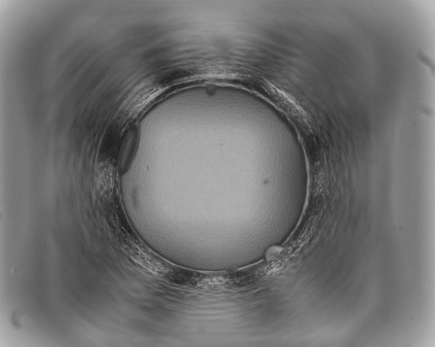 X0000097841169200804111057