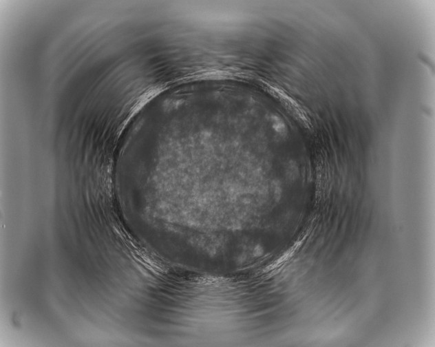X0000097841170200804111057