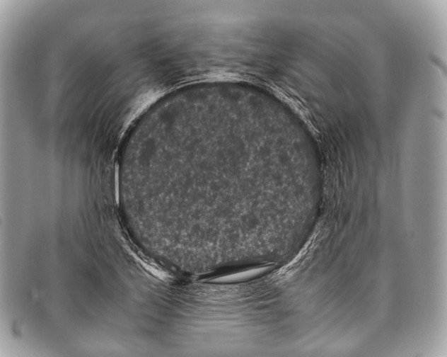 X0000097841171200804111057