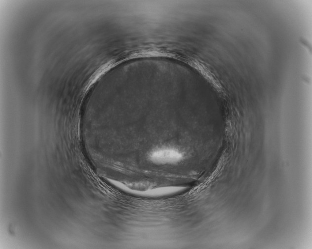 X0000097841173200804111057