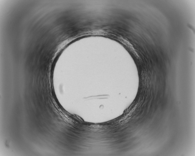 X0000097841176200804111057