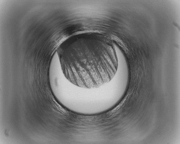 X0000097841177200804111056