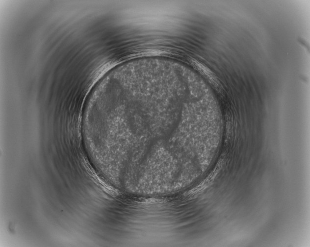 X0000097841178200804111056