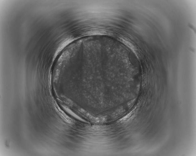 X0000097841179200804111056