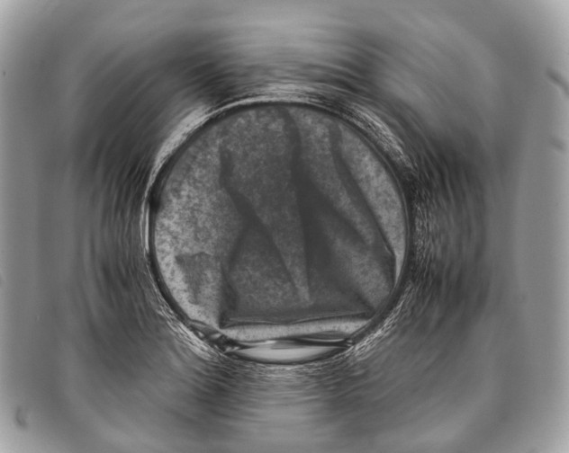X0000097841180200804111056