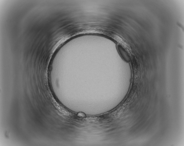 X0000097841181200804111056
