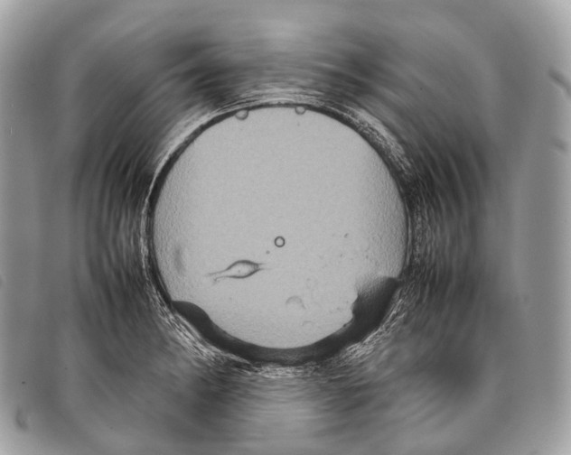 X0000097841182200804111056