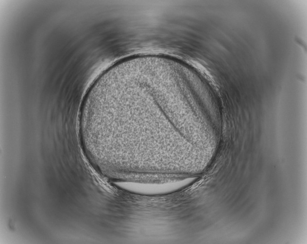 X0000097841183200804111056