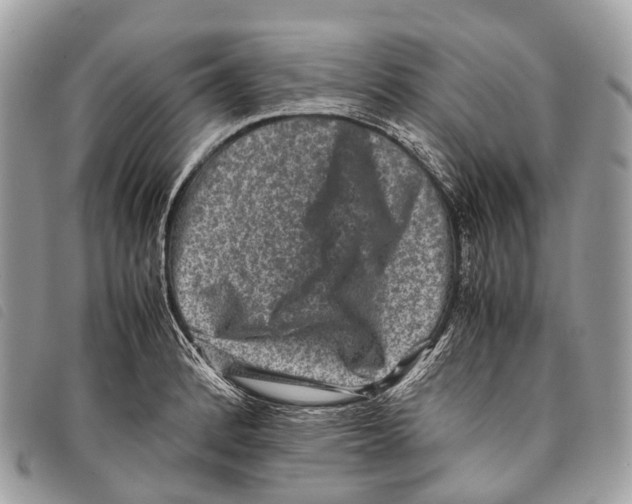 X0000097841184200804111056