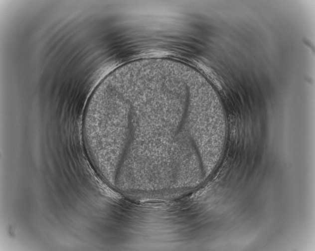 X0000097841186200804111056
