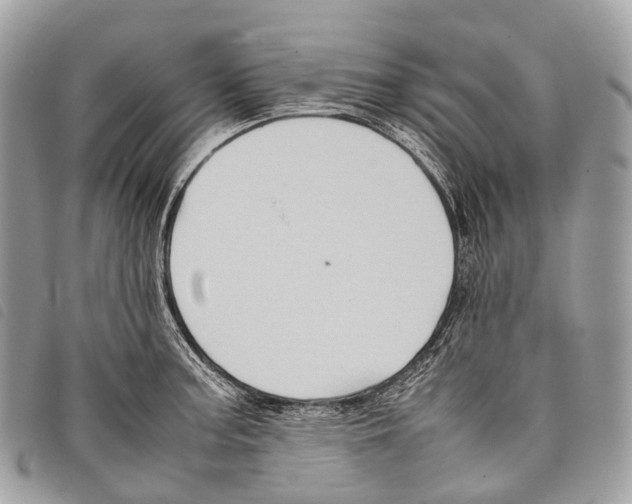 X0000097841187200804111056