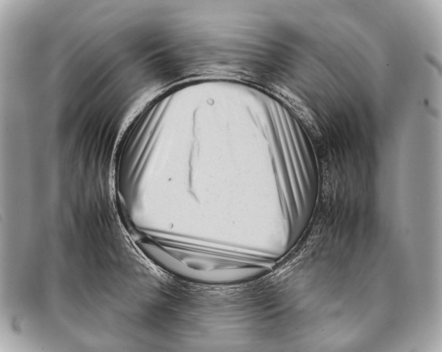 X0000097841188200804111056