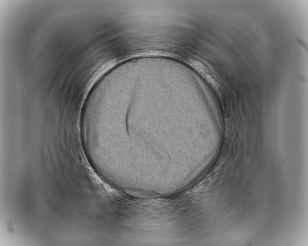 X0000097841189200804111056