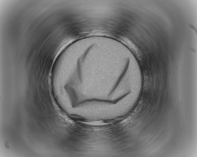 X0000097841190200804111056