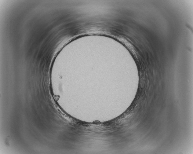 X0000097841191200804111056