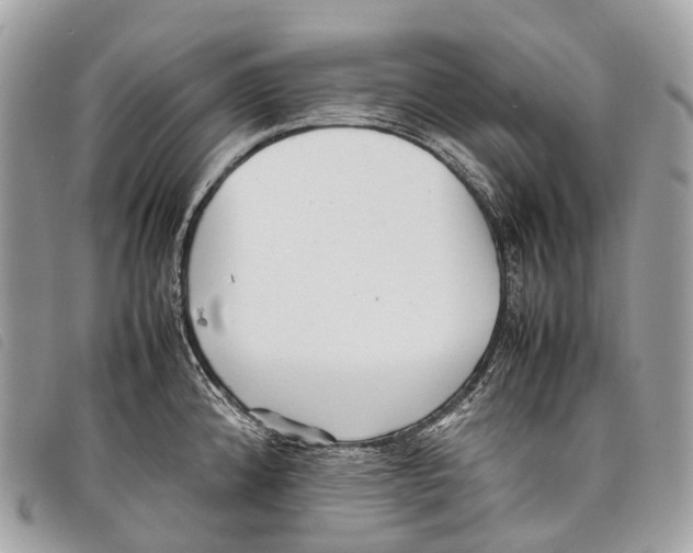 X0000097841192200804111056