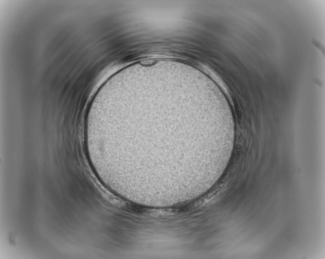 X0000097841195200804111056