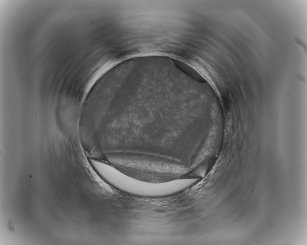 X0000097841197200804111056