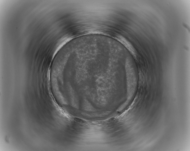 X0000097841198200804111056