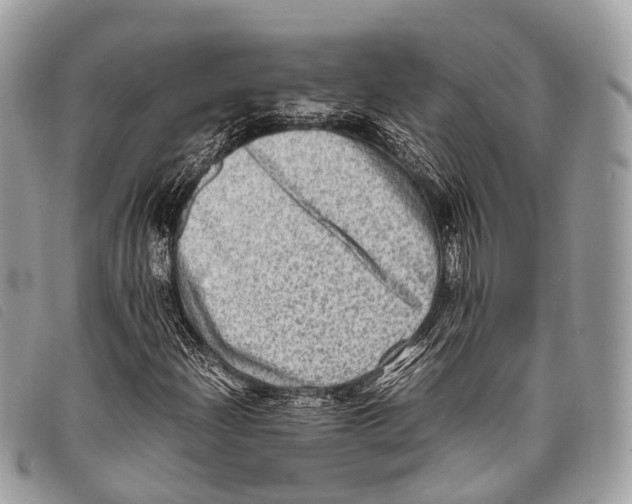 X0000097841204200804111055