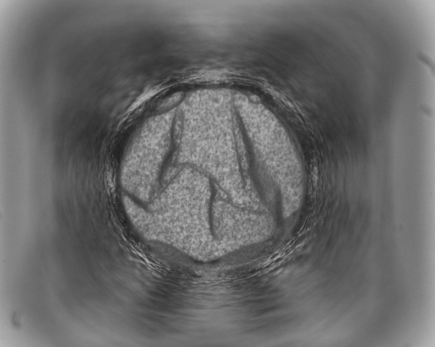 X0000097841206200804111055