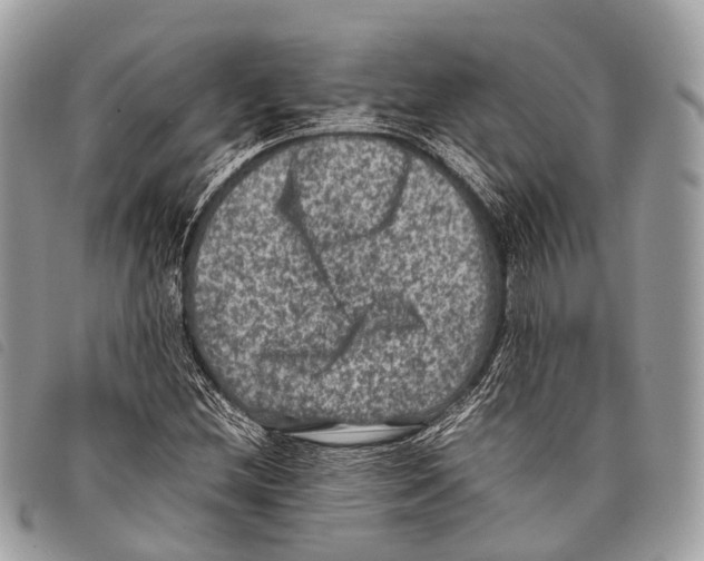 X0000097841212200804111055