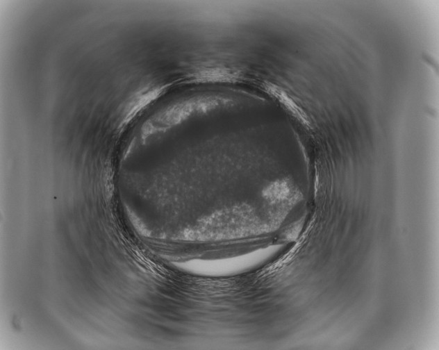 X0000097841213200804111055