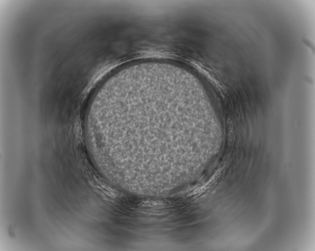 X0000097841215200804111056