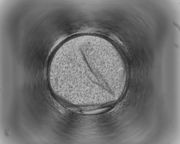 X0000097841216200804111056