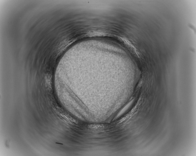 X0000097841217200804111056