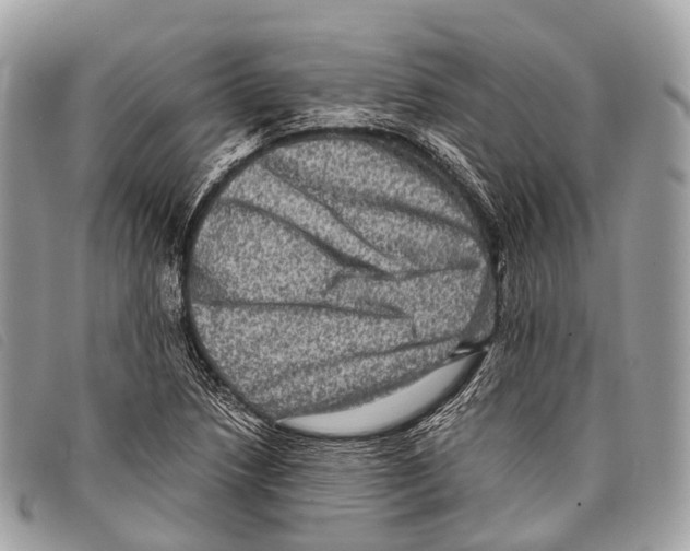 X0000097841218200804111056