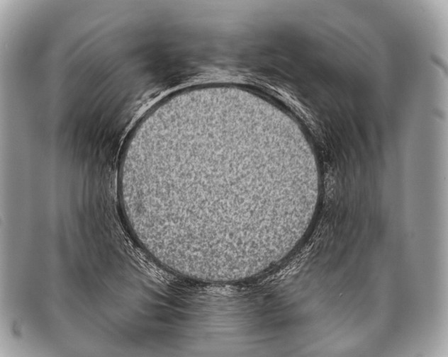 X0000097841220200804111056