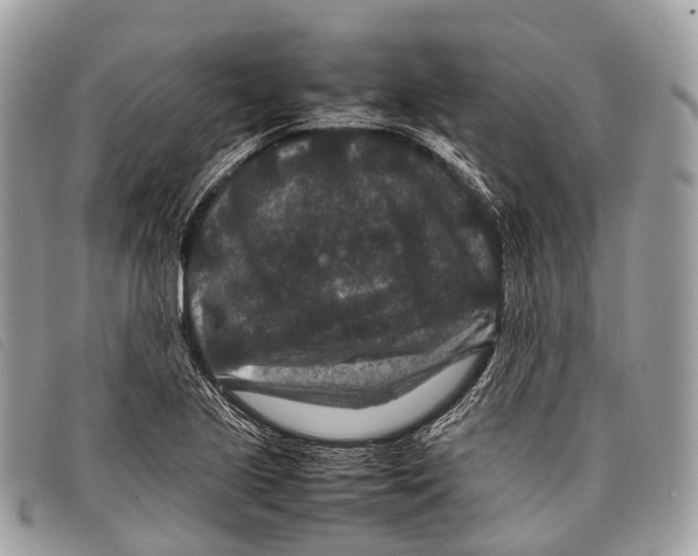 X0000097841221200804111056