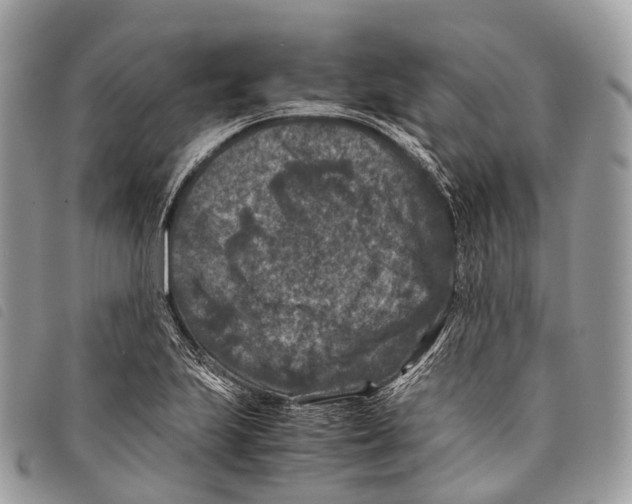 X0000097841223200804111056