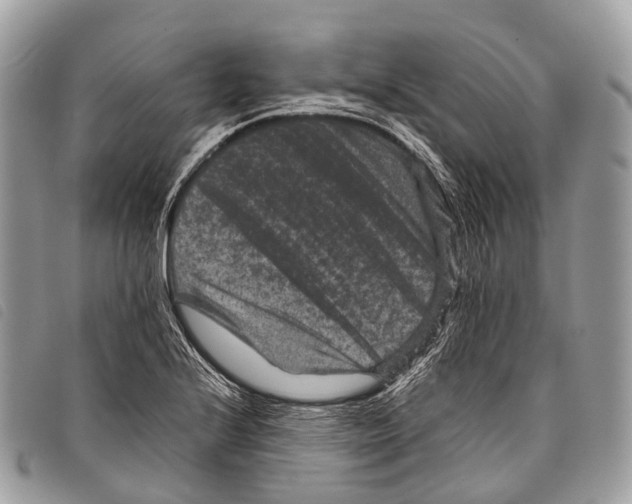 X0000097841224200804111056