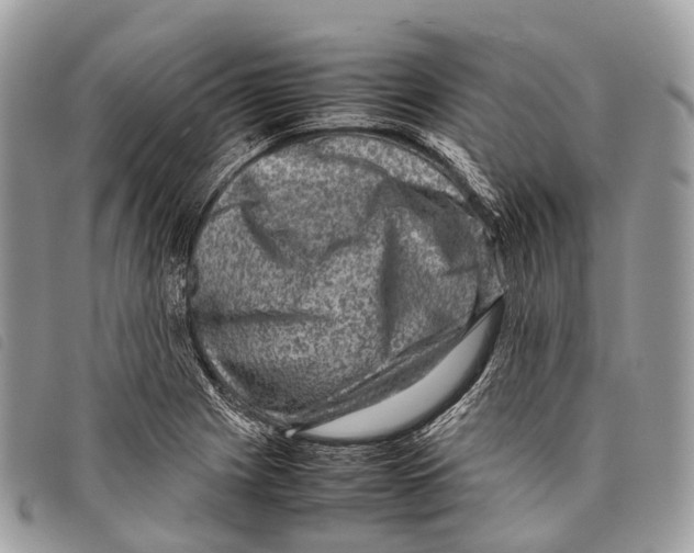 X0000097841225200804111056