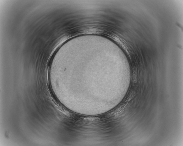 X0000097841227200804111056