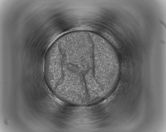 X0000097841228200804111056