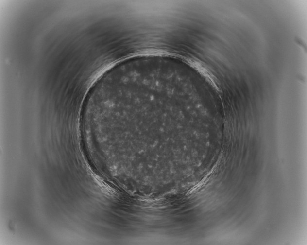X0000097841229200804111056