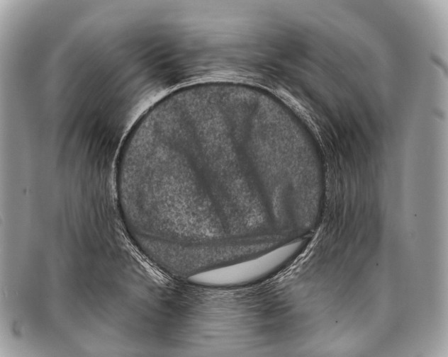 X0000097841230200804111056